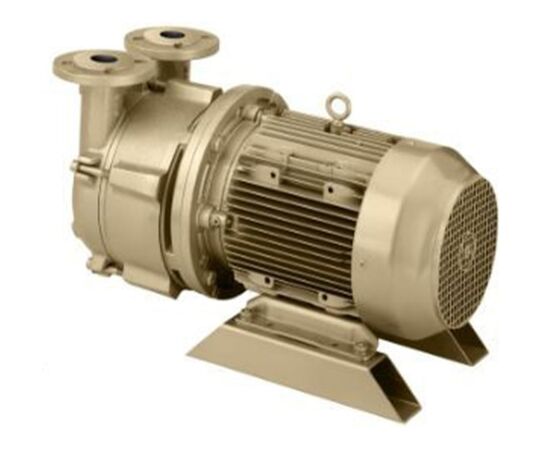 Dekker DV0060D-MA3-SGL, 5.5 HP Single-Stage Motor-Mounted Liquid Ring Vacuum Pump, 60 ACFM