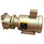 Dekker DV0020D-MA3-SGL, 1.5 HP Single-Stage Motor-Mounted Liquid Ring Vacuum Pump, 20 ACFM