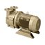 Dekker DV0060D-MA3-SGL, 5.5 HP Single-Stage Motor-Mounted Liquid Ring Vacuum Pump, 60 ACFM